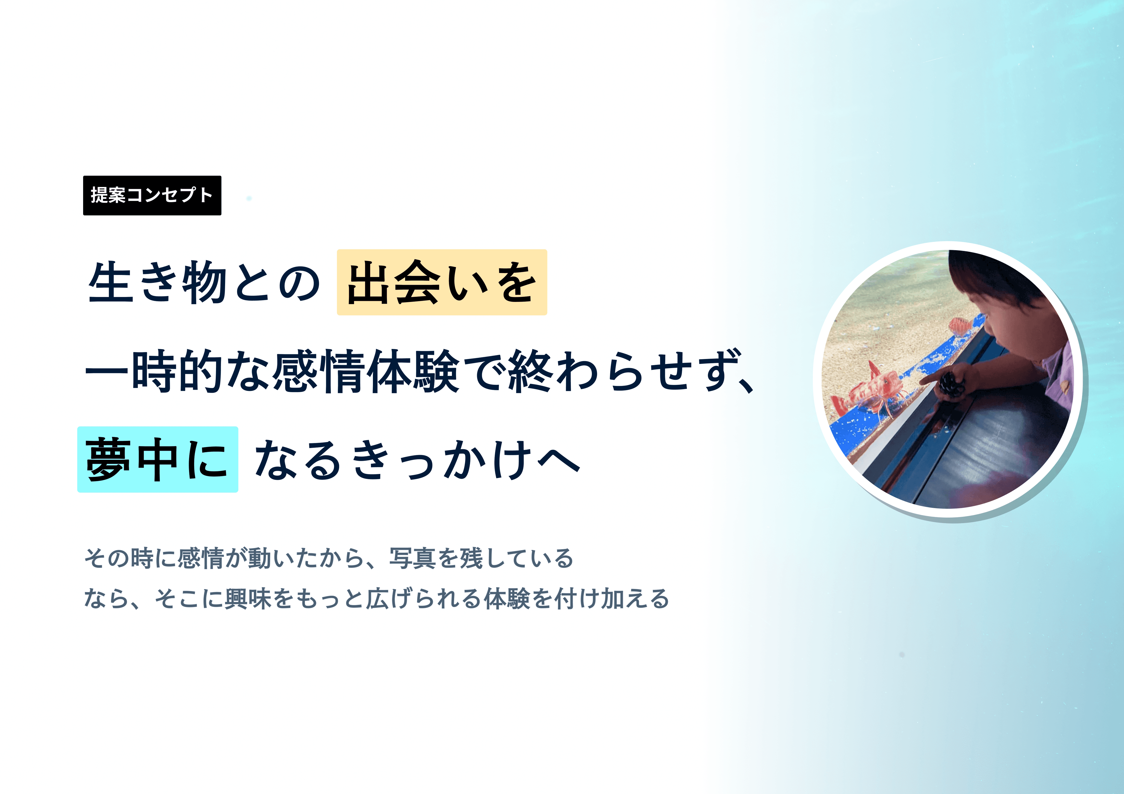 【初めての個人開発制作物】Meeture — 7